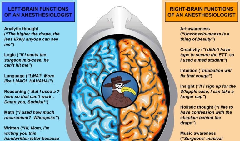 brain hemispheres anesthesiologist