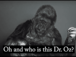 Koko the Gorilla Speaks Out About Healthcare Koko