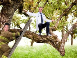 KevinMD Rescues Burned-Out Physician from Tree