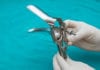 Habit, I Guess: OB/GYNs Accidentally Swabbing Vaginas for COVID-19 used speculum tongue depressor