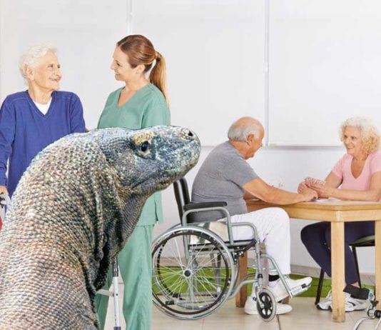PT Recommends Bedside Commode, Bedside Komodo Dragon bedside komodo dragon