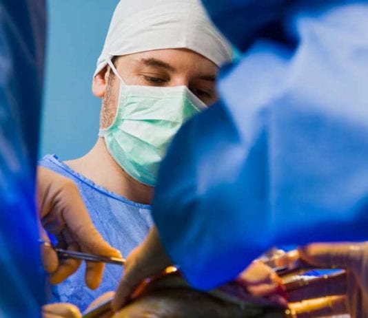 Anesthesiologists Now Required by Law to Scratch Itching Surgeons During Operations