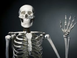 Orthopedic Surgeon General Declares Today “National Bone Day” bone day skeleton bone to pick