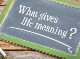 Scientists, Spiritual Leaders Unlock Meaning of Life: Charting, More Charting charting more charting meaning of life