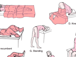 Which is Your Favorite Position to Guarantee a Good Night’s Sleep? favorite sleeping positions