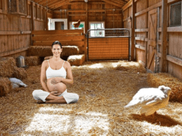 Barn Birthing Centers Gaining Popularity Across Nation