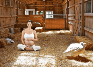 Barn Birthing Centers Gaining Popularity Across Nation