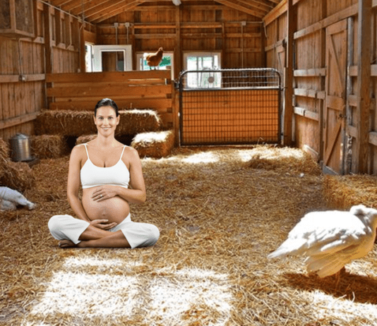 Barn Birthing Centers Gaining Popularity Across Nation