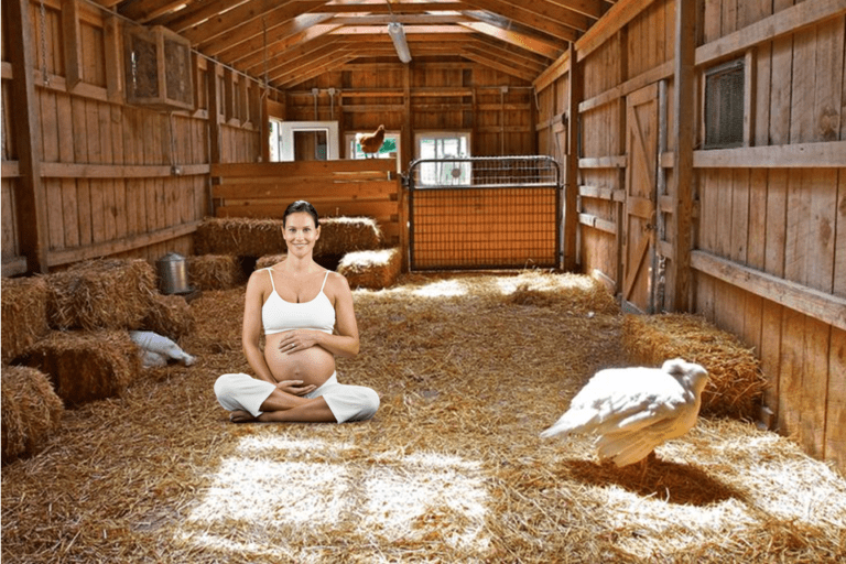 Barn Birthing Centers Gaining Popularity Across Nation