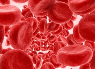 Breaking: Patient Taking Blood Thinner to Keep Blood Thin! red blood cells