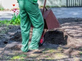 Orthopod Rushes Home to Bury Bone in the Backyard orthopod bury bone backyard