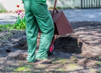 Orthopod Rushes Home to Bury Bone in the Backyard orthopod bury bone backyard