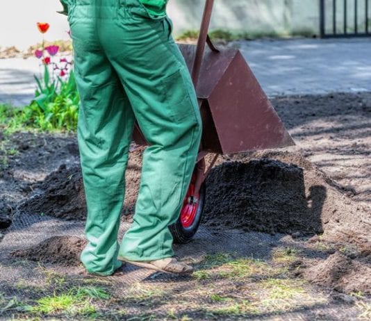 Orthopod Rushes Home to Bury Bone in the Backyard orthopod bury bone backyard