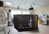 Intern Put Into Timeout Cage to Think About What She Did