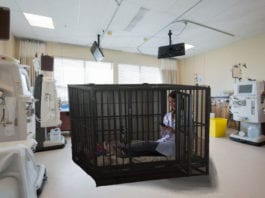 Intern Put Into Timeout Cage to Think About What She Did