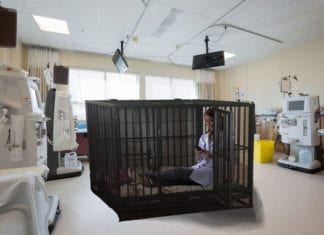Intern Put Into Timeout Cage to Think About What She Did