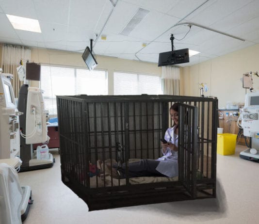 Intern Put Into Timeout Cage to Think About What She Did