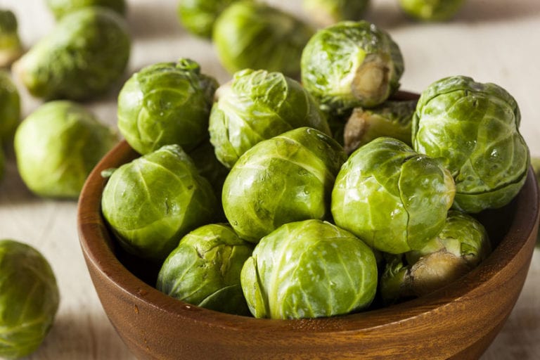 Multidrug Resistant Superbug Susceptible Only to Brussel Sprouts