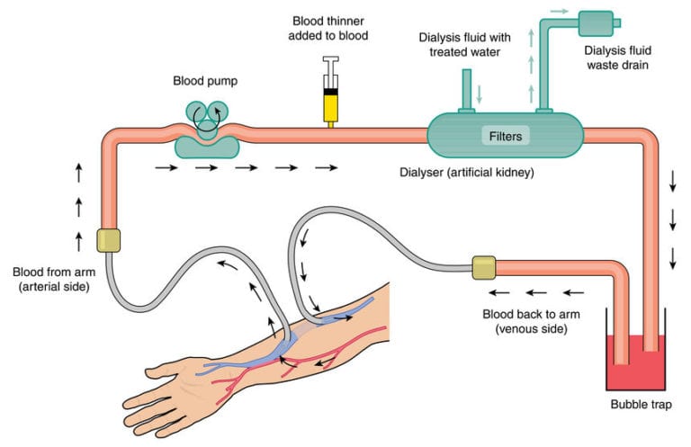 nephrology