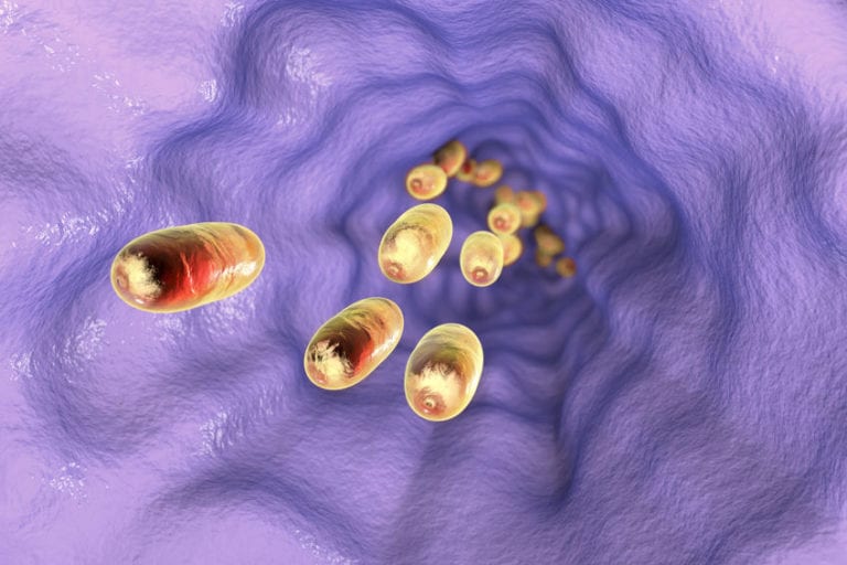 New Antimicrobial First Drug Ever with Fecal-Oral Route of Administratio