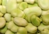 Errant Drug Rep Brings Fava Bean Salad to G6PD Conference