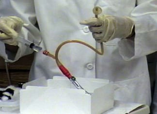 Local Medical Student Struggles to Explain His Eagerness to Place Foley Catheter on Male Patient