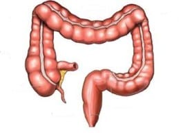 Joint Commission Mandates Physicians Have Colon Cleansed Between Each Patient Encounter