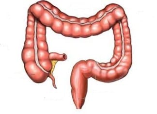 Joint Commission Mandates Physicians Have Colon Cleansed Between Each Patient Encounter