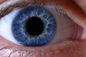 eyeball retina