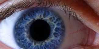 Ophthalmologist Palpates Retina with Finger As Part of Dilated Eye Exam eyeball retina