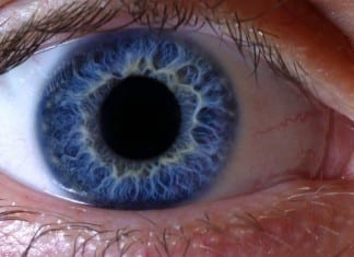 Medical Student Accidentally Identifies Retina on Fundoscopic Exam eyeball retina