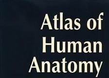 Medical Student’s Artwork Accepted to Netter Gross Anatomy Book, Disappointment Ensues