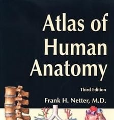 Medical Student’s Artwork Accepted to Netter Gross Anatomy Book, Disappointment Ensues