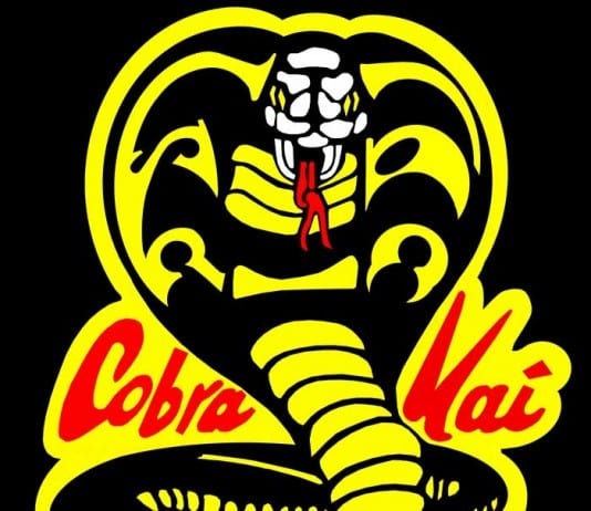 Intern Excited to Take Care of Cobra Kai, Because They Never Die