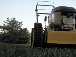 Local Man Loses Arm in Lawnmower Accident, ‘Why Can’t My Arm Be Made of Slightly Taller Grass?’ lawn mower