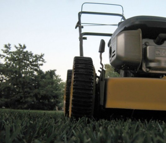 Local Man Loses Arm in Lawnmower Accident, ‘Why Can’t My Arm Be Made of Slightly Taller Grass?’ lawn mower