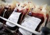 Patient Bleeds to Death, Blood Bank Paperwork Completed Without Errors blood