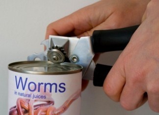 Secret of Successful Weight Loss Clinic: Tape Worms