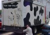 Food Truck Entrepreneur Now Providing Endoscopies