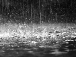 ER Visits Down 72% When it Rains, Trial to Focus on Healing Power of Rain