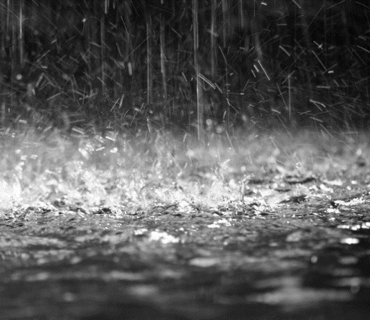 ER Visits Down 72% When it Rains, Trial to Focus on Healing Power of Rain