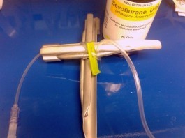 Easter Not Recognized as Holiday, Riots Ensue at Catholic Hospital