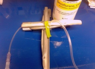 Easter Not Recognized as Holiday, Riots Ensue at Catholic Hospital