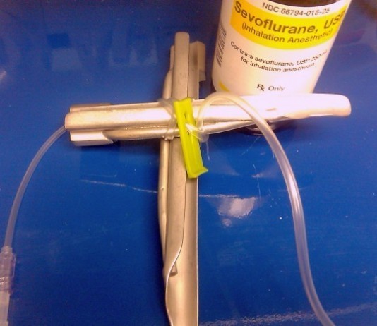 Easter Not Recognized as Holiday, Riots Ensue at Catholic Hospital