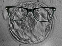Fertilized Hipster Egg Decides Uterus “Just Not My Style,” Moves to Abdomen