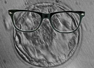 Fertilized Hipster Egg Decides Uterus “Just Not My Style,” Moves to Abdomen