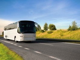 Tattoo-to-Tooth Ratio a Strong Intelligence Predictor