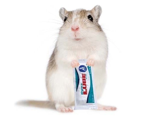 Man ‘Accidentally Falls’ on Gerbil That Ran Through Lube