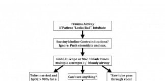 Updated 2015 Trauma Airway Algorithm Trauma bay airway algorithm