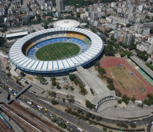 FIFA Requiring “Soccer Biter” to Have Brain Biopsy to Look for Rabies brain biopsy